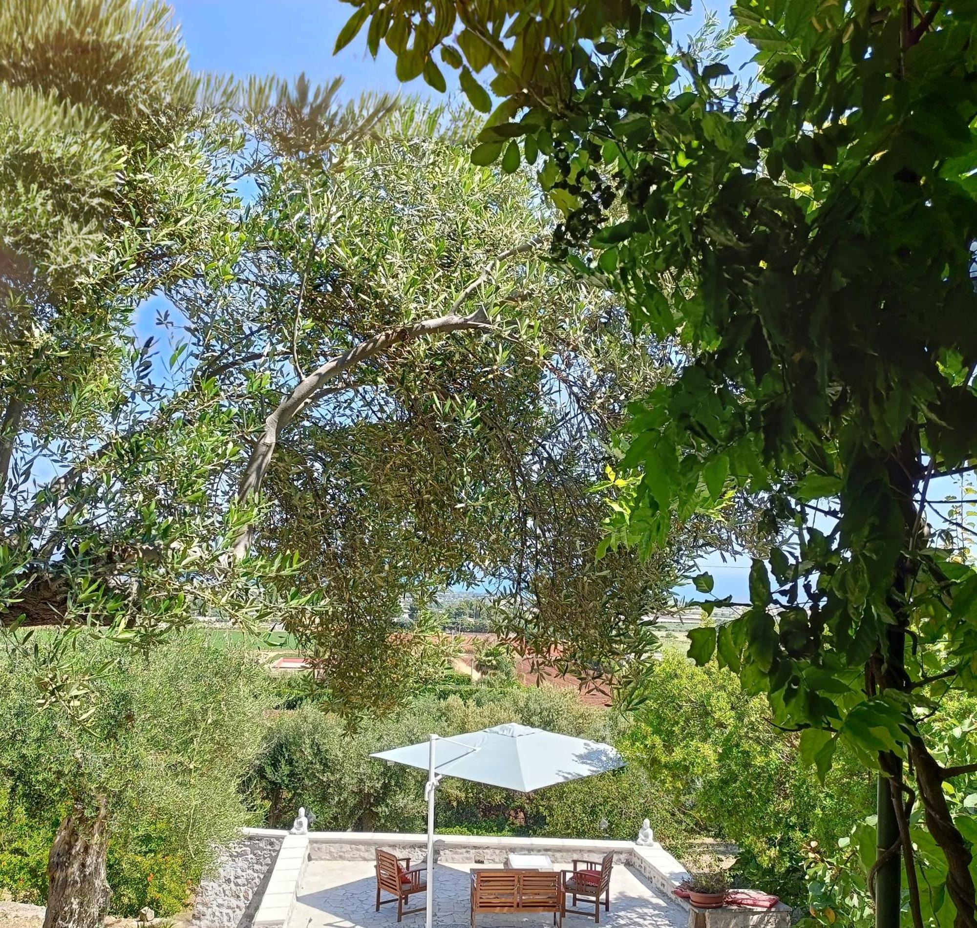 Le Finestre Sul Mare Bed and Breakfast Conversano Buitenkant foto